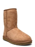 UGG M Classic Short Beige