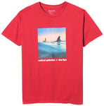 Dua Lipa Official Merch Radical Optimism T-Shirt, Red