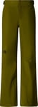 THE NORTH FACE Femme Descendit Pantalon Forest Olive XS