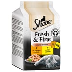 Økonomipakke: 72 x 50 g Sheba Fresh & Fine portionsposer  - Kylling & Kalkun i sauce