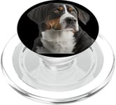 My big love is a big Swiss Mountain Dog PopSockets PopGrip for MagSafe