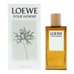 Loewe Pour Homme EDT 100ml Perfume For Men