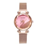 Basfur Dress Watch Fe-Montre-066-04