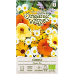 Organic Way Fröer Blommig Sommarmix