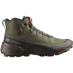 Salomon Unisex Cross Hike Tracker GORE-TEX Ranger Green/Earth Brown/Black, Ranger Green / Earth Brown / Black, 43 1/3