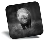 Awesome Fridge Magnet bw - Awesome Wild Bush Dog  #38952