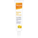 Weleda Arnica Ointment Salve Accelererende regenerering efter øget fysisk belastning 25 g