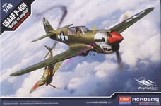 Academy AC12341 1/48 USAAF P-40N "Battle ofImphal"  PLASTIC MODEL kit