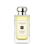 Jo Malone London Silver Birch & Lavender Cologne 100ml