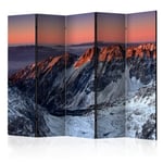 Paravent 5 Volets "Beautiful Sunrise in the Rocky Mountains" 172x225cm