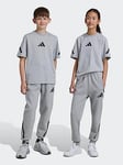 adidas Sportswear Junior Unisex Z.n.e Pant - Grey, Grey, Size 11-12 Years