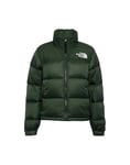 THE NORTH FACE Nuptse Jacket Pine Needle S