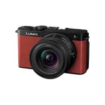 Panasonic Lumix S9 | Appareil Photo Hybride Plein Format + Objectif Lumix S 18-40mm F4.5-6.3 (24MP, Autofocus Phase, Double Stab, 6K Open Gate, Rafale AFC 30ips, App. Lumix Lab) – Version Française