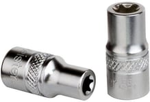 Hylsa 1/4" Torx Invändig E10 ProMeister