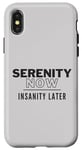 iPhone X/XS Serenity Now 90s Pop Culture Insanity Later Case