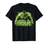 Marvel Infinity War We Have A Hulk Graphic T-Shirt T-Shirt