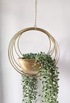 RISEON Suspension de Plantes bohème en métal doré, Motif géométrique en métal, Pot de Fleurs Moderne, Support de Plantes aériennes du Milieu du siècle, Pot de Fleurs Minimaliste pour intérieur ou