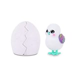 Little Live Pets| Surprise Chick| Cute Interactive Collectible Toy Chick Chirps & Taps| Hatches Out Of Egg & Hops About