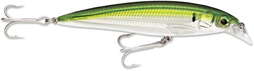 Rapala - Leurre de Pêche X-Rap Saltwater - Matériel de Pêche pour les Gros Prédateurs - Leurre Pêche Mer Tout Poisson - Profondeur de Nage 1.2-2.4m - 12cm / 22g - Fabriqué en Estonie - Pilchard