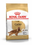 RC Cocker Spaniel Adult 2 x 12 kg