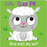 Lille Lam, Hva Kan Du Se?