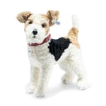 Steiff 35cm Foxy Fox Terrier with Genuine Leather Collar Standing (White/ Brown/ Black), Plüsch Bunt