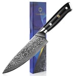 Sunnecko Chef Knife 6.5 inch, Kitchen Knife with 73-Layer VG10 Damascus Steel Sharp Knife, Chefs Knife with G10 Handle Professional Damascus Knife with Color Box for Cooking Knife