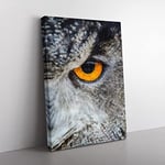 Eye Of An Owl Painting Modern Canvas Wall Art Print Ready to Hang, Framed Picture for Living Room Bedroom Home Office Décor, 76x50 cm (30x20 Inch)