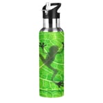 xigua Sports Water Bottle, Double-Wall Vacuum Insulated Stainless Steel Water Bottle with Wide Handle, for Fitness Outdoor Enthusiasts - 600ml - (Frog Behind The Green Leaf)