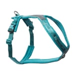 Non Stop Dogwear Line Hundesele 5.0, turkis (3)