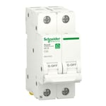 Schneider - Disjoncteur thermomagnétique 20A 1P+N 4,5KA c 2 modules R9F37620