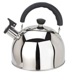 Bouilloire, Théière À Sifflet, Théière en Acier Inoxydable avec Poignée Ergonomique, Convient pour Cuisinière, Grande Capacité (Couleur: Argent, Taille: 4L) Cadeau Parfait