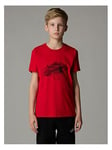 THE NORTH FACE Junior Boys Topographic Short Sleeve Tee - Red, Red, Size L=13-14 Years