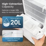 Pro Breeze® 20L/Day Compressor Dehumidifier - Energy Efficient with Laundry & &