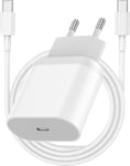 Chargeur Rapide iPad,20W Chargeur USB C avec 2M Cable Type C Chargeur Mural Adaptateur Secteur Compatible avec iPad Pro 12.9 2021/2020/2018, iPad Air 5,iPad Mini 6,Pixel 6/54/XL/3,Galaxy S22