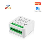 Zigbee-Mini Joli Intelligent WIFI 16A,Disjoncteur de Contrôle Bidirectionnel Via Alexa Alice Google Home Tuya Smart Life Ewelink Cozylife Homekit - Type Wifi tuya-16A Switch