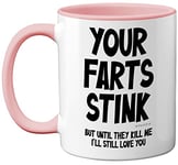 Funny Valentines Gifts for Him - Your Farts Stink Mug - Funny Mugs for Men, Birthday Gifts for Boyfriend Husband Dad, Joke Novelty Present, I Love You Daughter Son Wife, 11oz Pink Ceramic Mugs