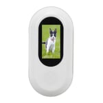 Cat Collar Camera 0.96 Inch LCD Screen Mini Cat Sport Camera With Video Records