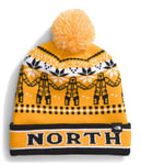 THE NORTH FACE Unisexe Ski Bonnet Summit Gold Him Suit Ja One Size