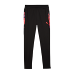 IndividualCUP Training Pants, fotballbukse, herre