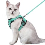 rabbitgoo Harnais Chat Anti évasion avec Laisse Vert M, Harnais Chaton Petit Chien Réglable, Collier Harnais et Laisses pour Chat Refléchissant Attache Dessus Gilet Respirant pour Lapin Chat Chiot