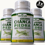 PURE Chanca Piedra KIDNEY STONE BREAKER Natural Cleanse GALLBLADDER Pill Capsule