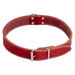 JACK AND VANILLA, Collier pour Chien, Modèle Cuir Gras, Couleur Rouge, Taille 12 mm x 30 cm