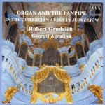 Agratina, Grudzien, Georgij Agratina, Georgy Sviridov, Maximillian Stadler, Thomas Åberg  Organ &amp; Pan Pipe: In Cystercian Abbey In Jedrzejow  CD