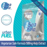 Sea Kelp Tablets 500mg - 365 Iodine Capsules Thyroid Function Weight Management