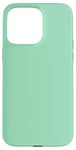 Coque pour iPhone 15 Pro Max Couleur vert écume de mer simple