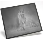 Placemat Mousemat 8x10 BW - Caracal African Lynx Cat  #38978