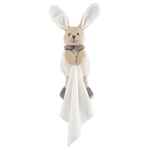 Animal Jouet Chicco Lapin 00009609000000