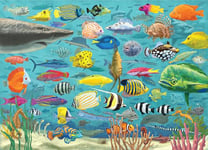 Peter Pauper Press All The Fish 1000 Piece Jigsaw Puzzle