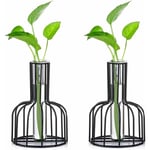 2 Pcs Mini Vases Set Petits Vases Pour La Décoration De Table Vase à Fleurs Bourgeon Moderne Vase En Verre Hydroponique Tubes à Essai (Noir) Fei Yu